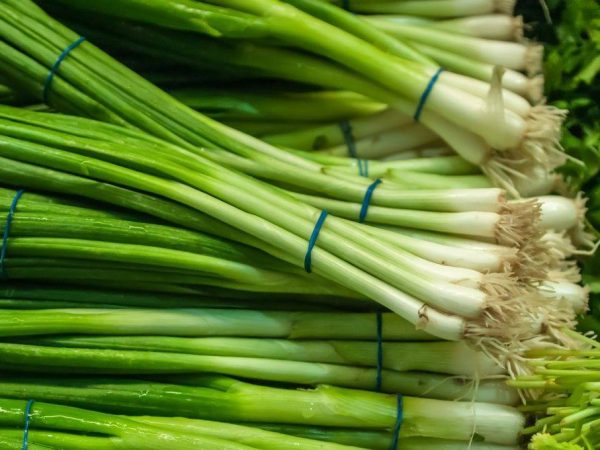 How to store leeks for the winter