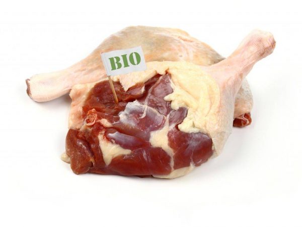 Indo-duck meat