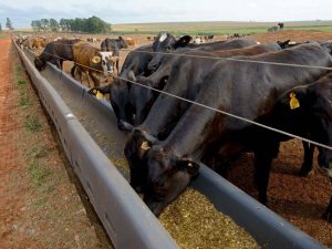 Trinkschalen und Futtertröge für Kühe zum Selbermachen
