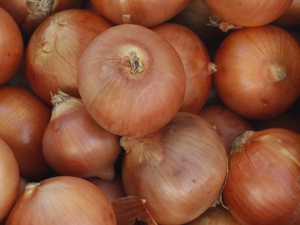How to store onions in the winter at home