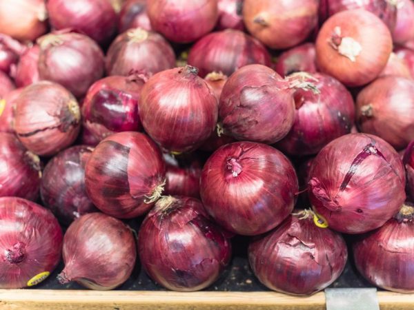 How to store onions at home