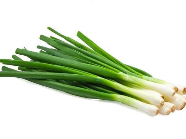 How to keep green onions for the winter