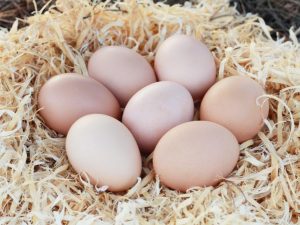 Vitamins for laying hens