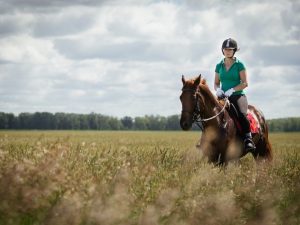 Jak jezdit na koni
