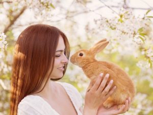Cómo nombrar un conejo