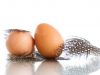 Wenn Perlhühner anfangen, Eier zu legen