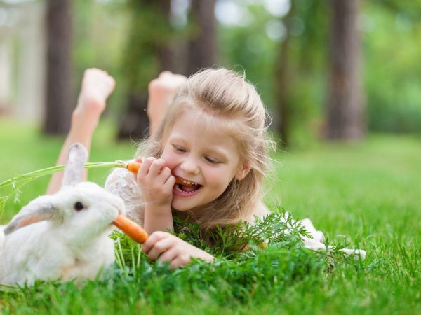 You need to monitor the quality nutrition of rabbits