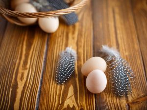 Parelhoen eieren