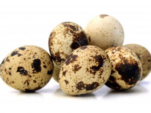 Producția de ouă de prepelițe