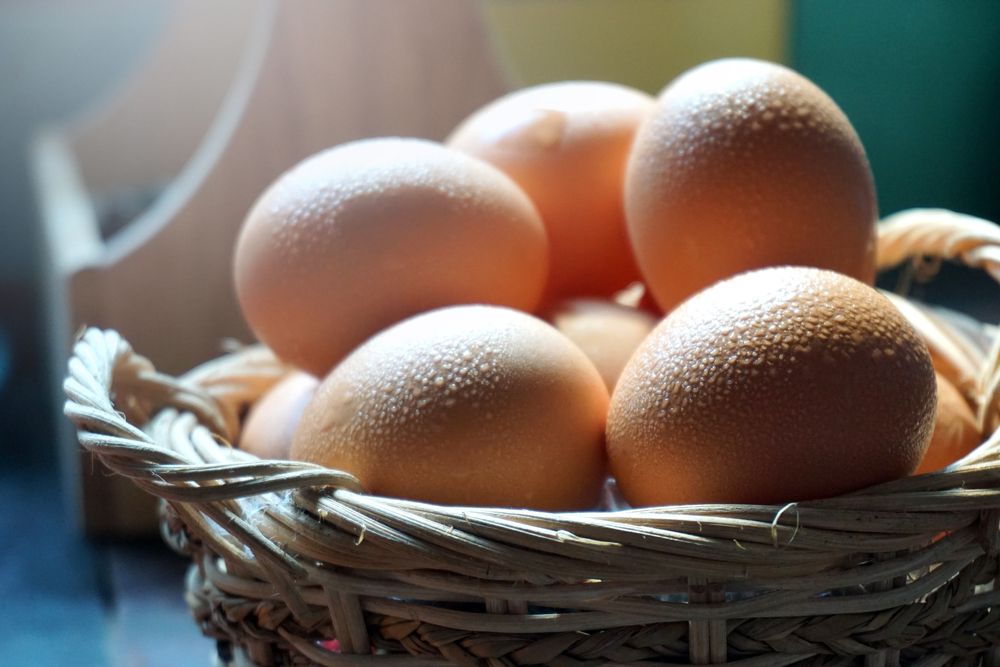 Αυγά του Αμβούργου