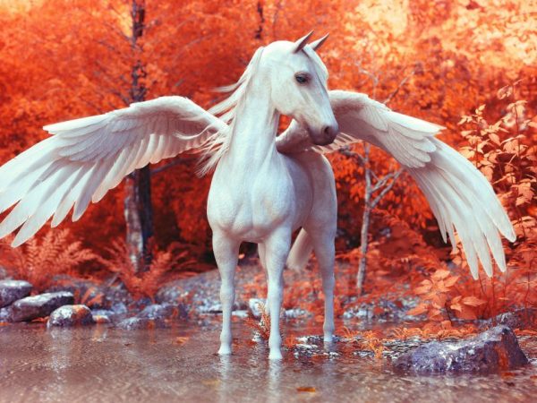 Pegasus häst