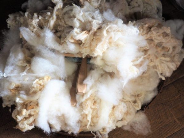 Ovčja vuna Prekos