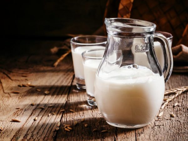 Výhody a poškození ovčího mléka