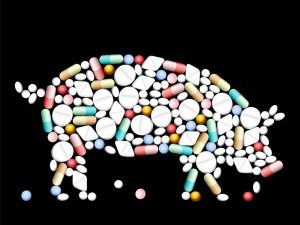 Vitamin and mineral supplements for pigs