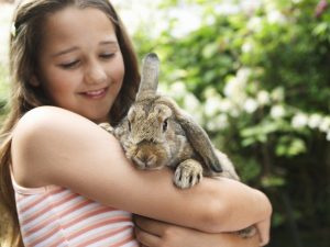 Att ta hand om din kanin ordentligt