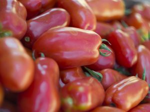 Descripción de los tomates Raketa
