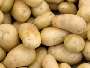 Characteristics of Agatha potatoes