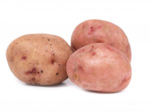 Characteristics of Aurora potatoes