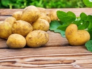 Sorter av vitryska potatisar