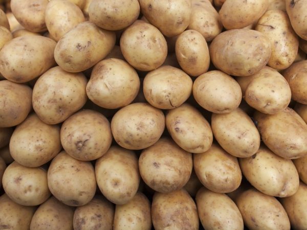 Bewaar aardappelen op een koele plaats