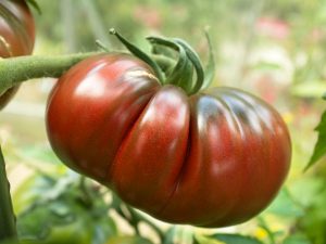 Beschrijving van tomaat Zwarte ananas
