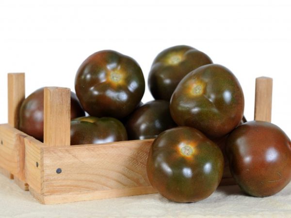 Características de los tomates Black Pearl