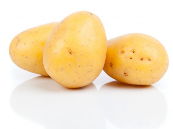 Popis brambor Juvel