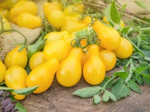 Kenmerken van peervormige tomaten