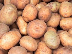 Egenskaper för Ilyinsky potatisort
