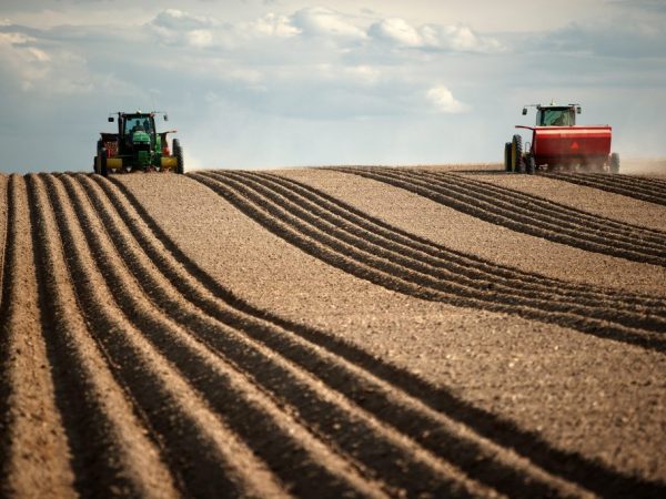 Un buen suelo aumentará el rendimiento de los cultivos