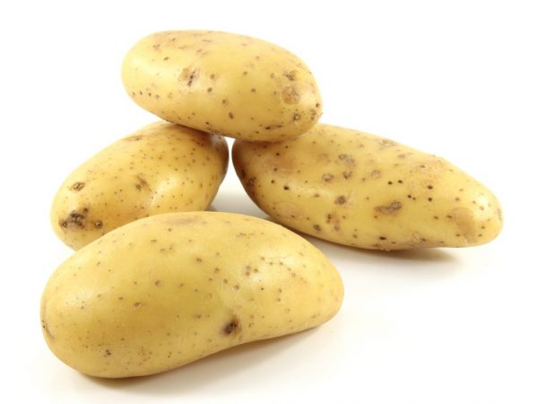 Popis bramborové císařovny