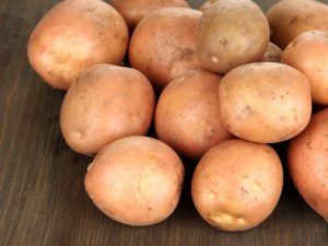 Characteristics of Irbitsky potatoes