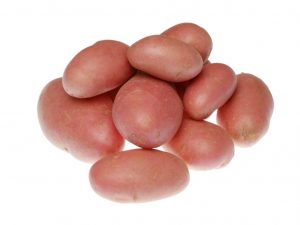 Popis brambor Krasa