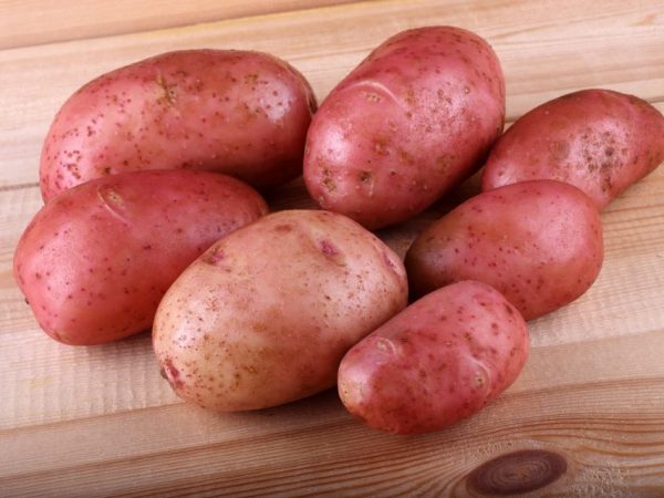 Características de las patatas rosa de Crimea.