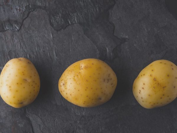 Kenmerken van Lorkh-aardappelen