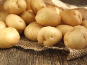 Descripción de las patatas Lugovskoy