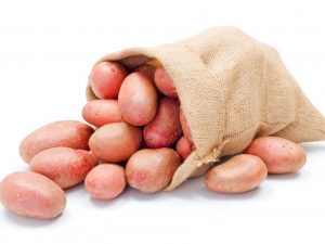 Vlastnosti odrůdy brambor Lyubava