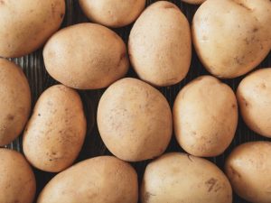 Characteristics of Molly potatoes