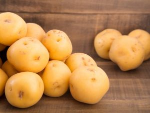 Χαρακτηριστικά της ποικιλίας πατάτας Nevsky