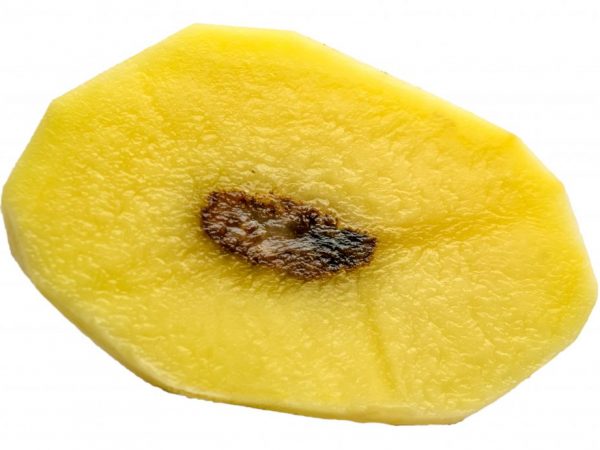 Causes of blackness inside potatoes