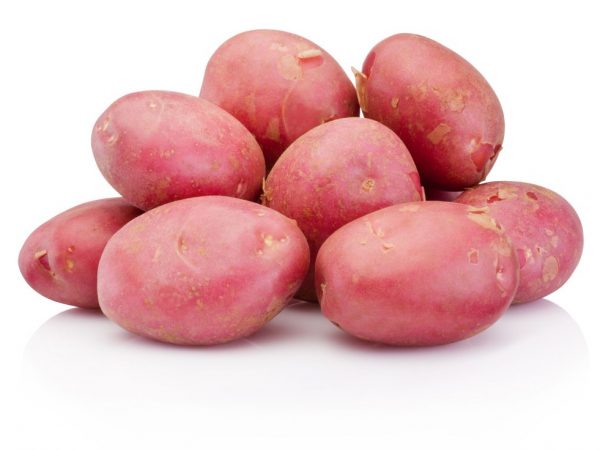 Aardappelen worden op verschillende gebieden gebruikt