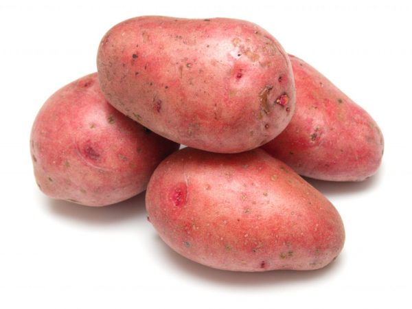 Beskrivning av Rosars potatis