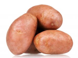 Beskrivning av potatis Sonny