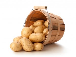 Kenmerken van het aardappelras Udacha