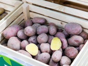 Charakteristika brambor chrpy
