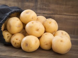 Characteristics of Vega potatoes
