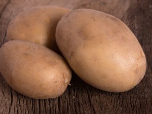Kenmerken van het aardappelras Vector