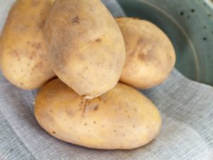 Characteristics of the Giant potato