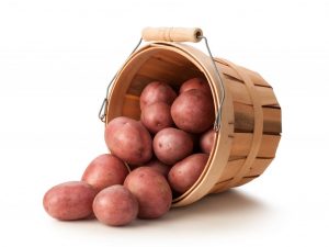 Beskrivning av potatis Zhuravinka