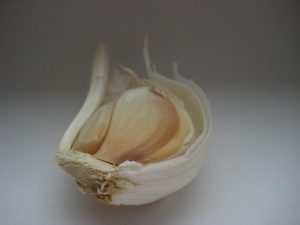 Diseases and prevention of table garlic